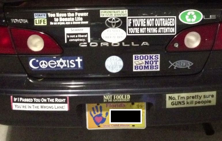 Bumper Sticker - Florida - Guns and Abortions