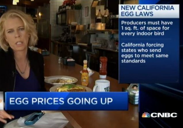 https://www.cnbc.com/video/2014/12/31/cali-egg-rules.html