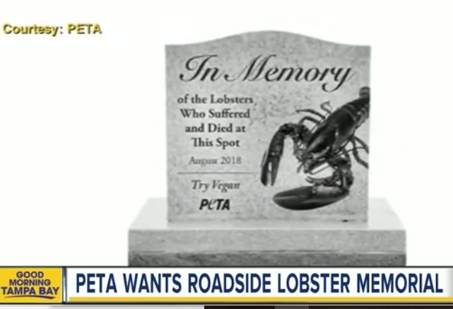 http://www.foxnews.com/food-drink/2018/08/30/peta-wants-maine-officials-to-build-gravestone-in-memory-lobsters-who-died-in-truck-crash.html