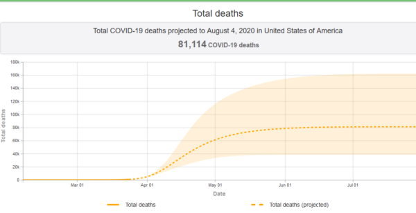 https://covid19.healthdata.org/